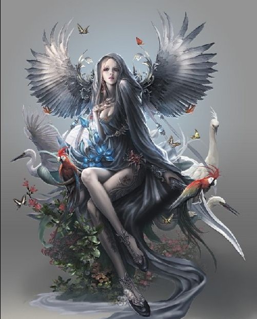 ������˫