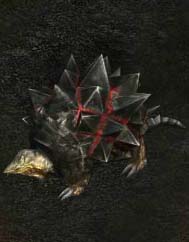 ������˫